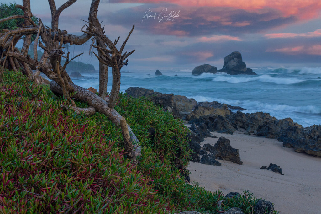 1. What type of lens do we need to start landscape photography Firstly, if you have any kind of lens, just use it, and start your capturing. It sometimes confused your mind. But that is the quickest and correct way to start your journey in landscape photography. Most important thing is capturing the right moment. You just need any type of lens for that. Brand name or the quality of built is doesn’t matter for that purpose. Later on, you can shift your gears to more advanced ones. As a n example, if you have Nikon D7200 body with it’s native 18-140 mm lens. That will be a magnificent gear set for landscape photography. You don’t need any expensive gears for start this. One thing to consider is lens range play a crucial role here. If we take 18-140 mm with 50 mm prime lens, you can capture more variable range in 18-140 mm. that will be an added advantage. By adding range, you can modify and tell some story from your images